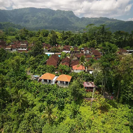 Sidemen Padi Villas